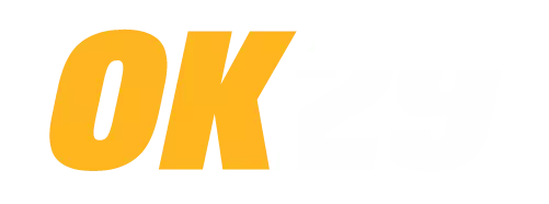 OK29 logo